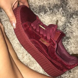 Puma creepers